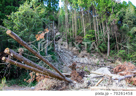 大雨の後の土砂崩れ 杉林でおこった土砂崩れ被害 大雨の後の土砂崩れ 杉林でおこった土砂崩れ被害 70261458