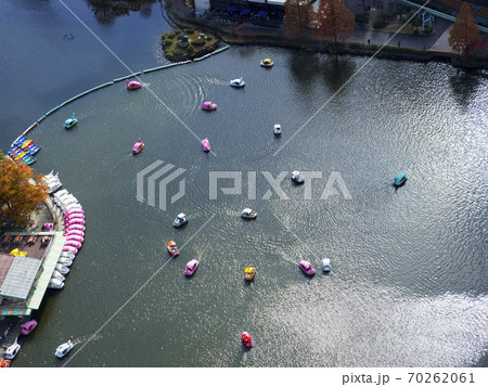 東山動植物園 70262061