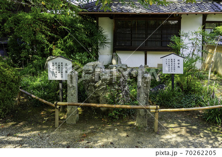橘寺　三光石と阿字池　奈良県明日香村 70262205