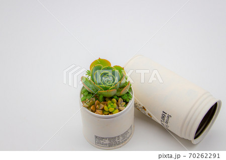 多肉植物のリメイク缶寄せ植え ハンドメイドのリメカンと七福神の写真素材 多肉植物のリメイク缶寄せ植え ハンドメイドのリメカンと七福神の写真素材