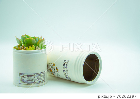 多肉植物のリメイク缶寄せ植え ハンドメイドのリメカンと七福神の写真素材 多肉植物のリメイク缶寄せ植え ハンドメイドのリメカンと七福神の写真素材