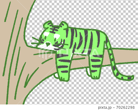 Tiger relaxing on a tree (green) Tiger relaxing on a tree (green) 70262298