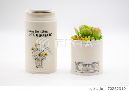 多肉植物のリメイク缶寄せ植え ハンドメイドのリメカンと七福神 多肉植物のリメイク缶寄せ植え ハンドメイドのリメカンと七福神 70262310