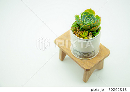 多肉植物のリメイク缶寄せ植え ウッドテーブルの上のハンドメイドのリメカンと七福神 多肉植物のリメイク缶寄せ植え ウッドテーブルの上のハンドメイドのリメカンと七福神 70262318