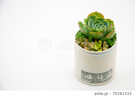 多肉植物のリメイク缶寄せ植え　ハンドメイドのリメカンと七福神 70262333