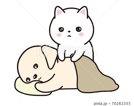 整体の施術を受けるラブラドールレトリーバーの子犬 ペットの整体 スパ 整体の施術を受けるラブラドールレトリーバーの子犬 ペットの整体 スパ 70262355