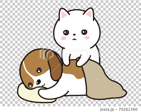 比格犬寵物寵物進行手法治療 70262360