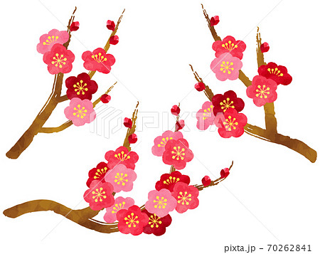 B5サイズ オリジナルイラスト 原画 創作男子 梅 水彩 アナログ絵 2枚