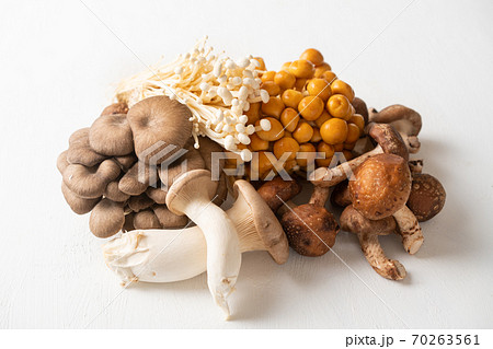 食用きのこ色々 70263561