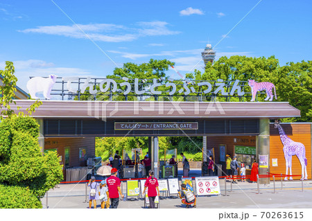 天王寺動物園 大阪府 日本 天王寺動物園 大阪府 日本 70263615