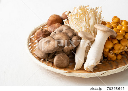 食用きのこ色々 70263645
