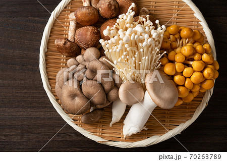 食用きのこ色々 食用きのこ色々 70263789