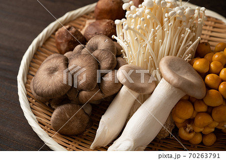 食用きのこ色々 食用きのこ色々 70263791