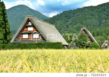 白川郷 世界遺産 合掌造り 稲穂 白川郷 世界遺産 合掌造り 稲穂 70263924