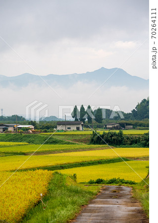 秋の草原に噴火する雄大な阿蘇の風景 70264111