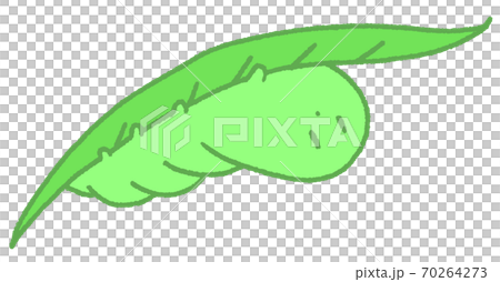 隱藏在葉子後面的毛毛蟲（綠色） 70264273