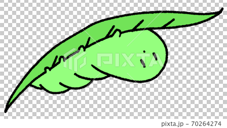 隱藏在樹葉後面的毛毛蟲 隱藏在樹葉後面的毛毛蟲 70264274