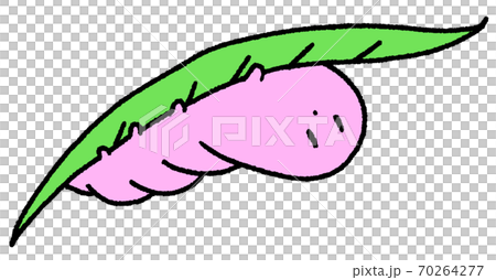 Caterpillar (pink) hidden behind the leaves Caterpillar (pink) hidden behind the leaves 70264277