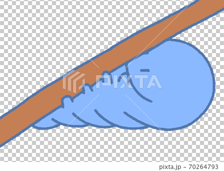 Caterpillar (blue) holding on a branch and preparing to become a pupa 70264793