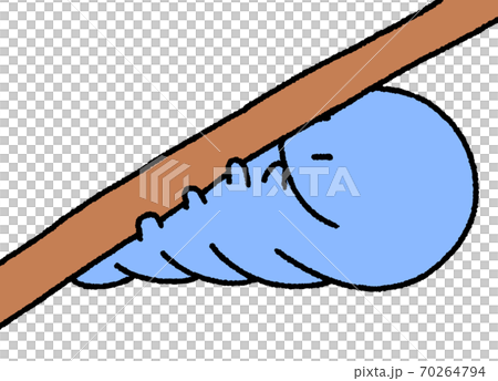 Caterpillar (blue) holding on a branch and preparing to become a pupa 70264794