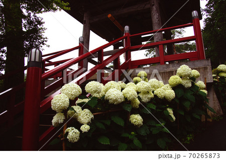 鐘楼 鐘楼 70265873