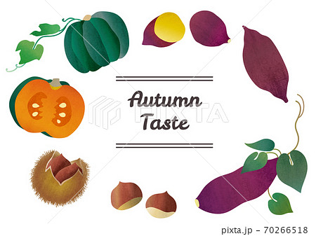 秋の味覚 野菜 果物のイラストセットのイラスト素材