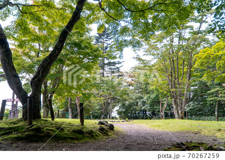 山の見晴台 山の見晴台 70267259