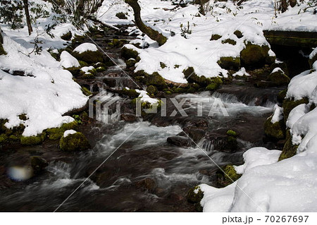 木谷沢渓流の雪景色 70267697