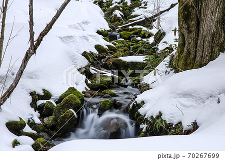 木谷沢渓流の雪景色 木谷沢渓流の雪景色 70267699