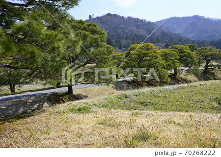 修学院離宮 松並木と田園風景 修学院離宮 松並木と田園風景 70268222