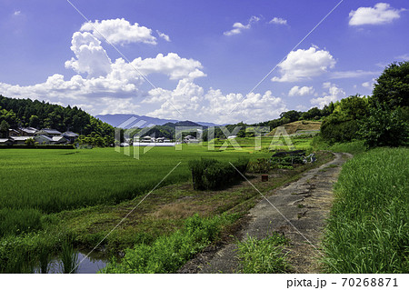 天武・持統天皇陵から鬼の雪隠への道　奈良県明日香村 70268871