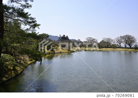 修学院離宮 上離宮 西浜の桜並木 修学院離宮 上離宮 西浜の桜並木 70269081