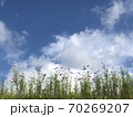 秋の風景 70269207