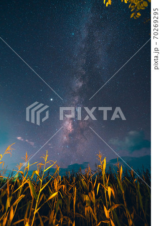 Milky way and night stars in the fields 70269295