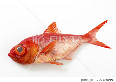 キンメダイ 70269899