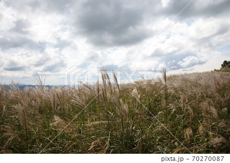 生石高原 70270087