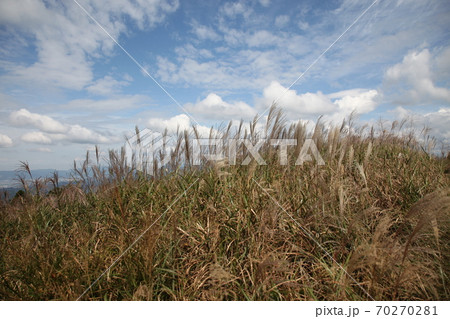 生石高原 70270281