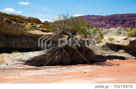 Mountainous landscape in Ischigualasto Provincial Park Mountainous landscape in Ischigualasto Provincial Park 70270878