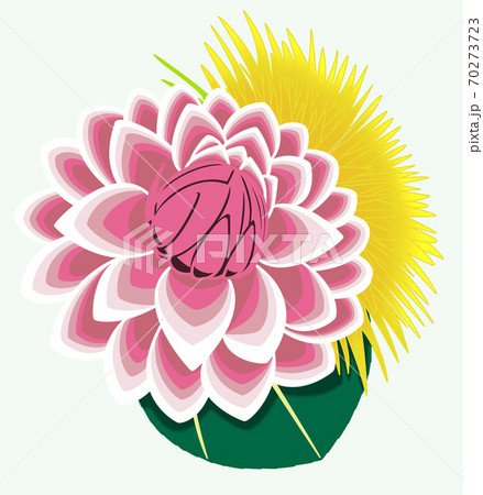 グラデーションの入ったデコラティブ咲きのピンク色のダリアと八重向日葵ver 2のイラスト素材