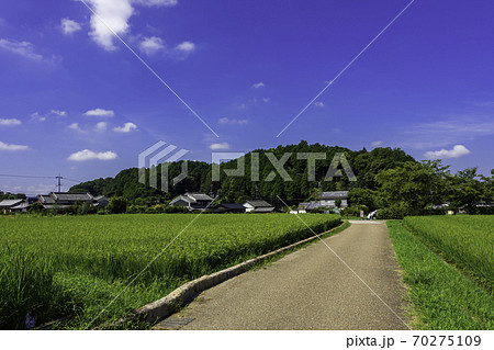 飛鳥坐神社の杜　飛鳥の神奈備　奈良県明日香村 70275109