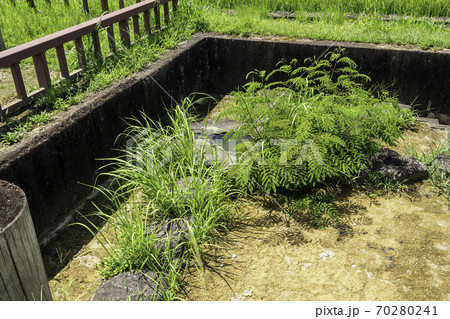 飛鳥水落遺跡 奈良県明日香村 飛鳥水落遺跡 奈良県明日香村 70280241