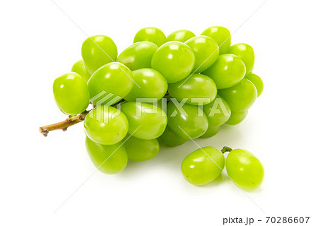 シャインマスカット 70286607