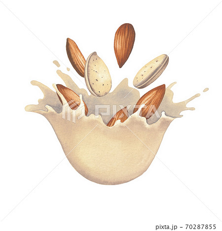 Watercolor splash of plant based milk with almond nuts. Watercolor splash of plant based milk with almond nuts. 70287855
