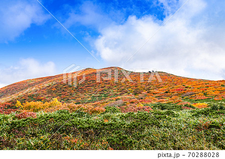 栗駒山全山紅葉神の絨毯と登山道赤く染まる天馬尾根コース 栗駒山全山紅葉神の絨毯と登山道赤く染まる天馬尾根コース 70288028