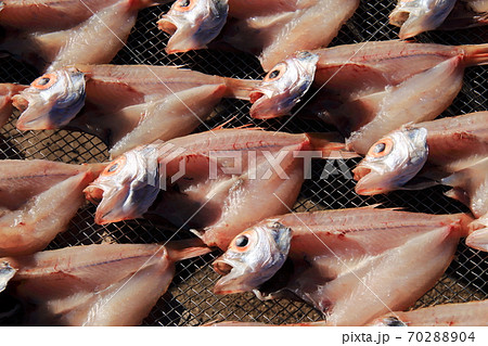 アカムツの天日干し アカムツの天日干し 70288904