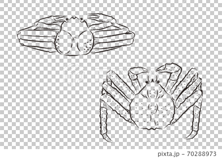 筆書き風　ズワイガニとタラバガニのイラスト 70288973