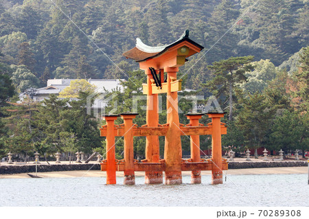 広島県　秋　安芸の宮島　大鳥居　厳島神社 70289308