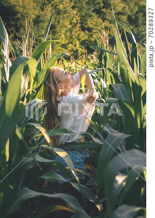 Sensitivity to nature, celebration of life little moments concept. Young woman enjoying nature in the corn field 70289327