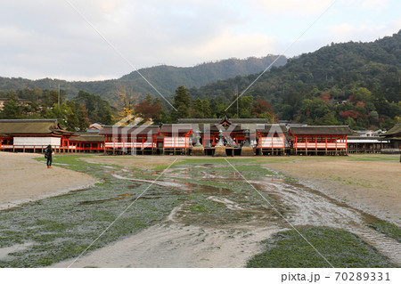 広島県　秋　廿日市市　安芸の宮島　厳島神社 70289331
