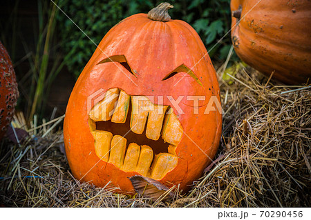 Halloween pumpkin 70290456